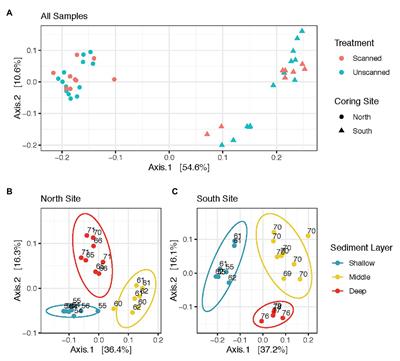 Microbial Community Characteristics Largely Unaffected by X-Ray Computed Tomography of Sediment Cores